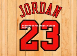 壹号娱乐网页版-前枪手球星拉姆塞爱犬走失 社交媒体悬赏引全网关注