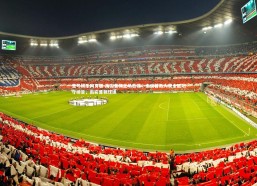 壹号娱乐网页版-南安普顿主场告捷：南安普敦大获全胜功守榜首，南安普顿球迷