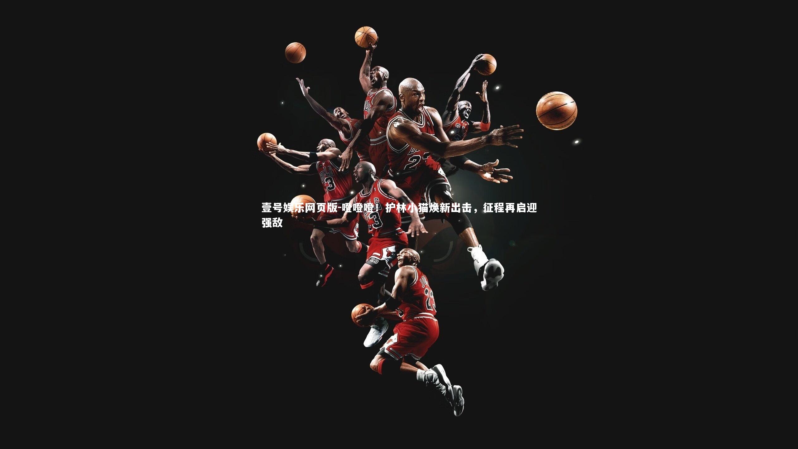 噔噔噔!护林小猫焕新出击,征程再启迎强敌